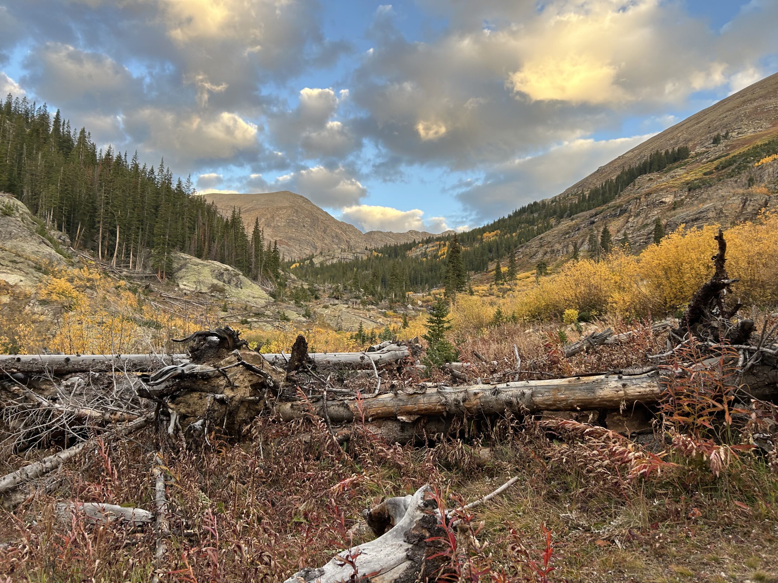 Colorado